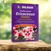 Ericaceous Compost 60L -Garden Plants Sales 100042