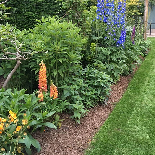 Strulch Mineralised Straw Garden Mulch 7 Strulch Mineralised Straw Garden Mulch - Image 5