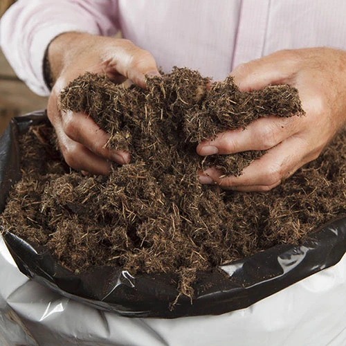 50L Premium Professional Compost 4 50L Premium Professional Compost - Image 2