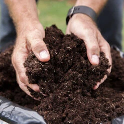 50L Premium Professional Compost 12 50L Premium Professional Compost -Garden Plants Sales 100100 3