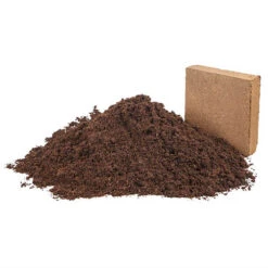 Eazy Grow MP Peat Free Coco Compost -Garden Plants Sales 100181 4