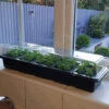 Pack Of 3 Windowsill Propagator Kits 1 Pack Of 3 Windowsill Propagator Kits -Garden Plants Sales 120034
