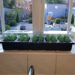 Pack Of 3 Windowsill Propagator Kits -Garden Plants Sales 120034 1