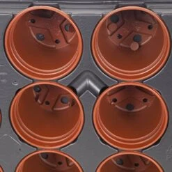 Professional Shuttle Trays 10 Professional Shuttle Trays -Garden Plants Sales 130013 3