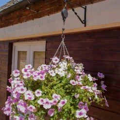 Pair Of Hi-Lo Hanging Basket Raisers -Garden Plants Sales 130057 1