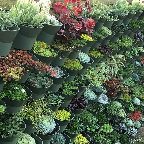 WonderWall Vertical Growing System - 4 Sections 9 WonderWall Vertical Growing System - 4 Sections - Image 7