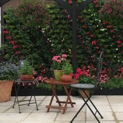 WonderWall Vertical Growing System - 4 Sections 18 WonderWall Vertical Growing System - 4 Sections -Garden Plants Sales 130245 7