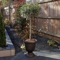 Black And Bronze Vertical Urn -Garden Plants Sales 130271 2