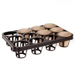 Skelly Tray X 3 And 36 Jiffy Bio Pots 13 Skelly Tray X 3 And 36 Jiffy Bio Pots -Garden Plants Sales 130325 4