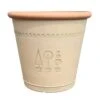'Boxwood' Acorn 33cm Brown Planter -Garden Plants Sales 130396