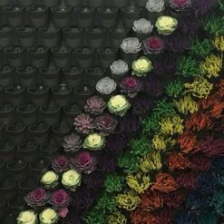 WonderWall - Single Section 14 WonderWall - Single Section -Garden Plants Sales 130427 3