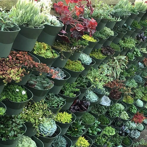 WonderWall - Single Section 9 WonderWall - Single Section - Image 7