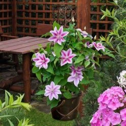 Tower Planter And Trellis 7 Tower Planter And Trellis -Garden Plants Sales 130461 1