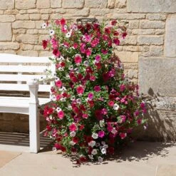 Tower Planter And Trellis 9 Tower Planter And Trellis -Garden Plants Sales 130461 3