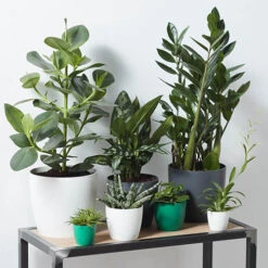 Houseplant Pot Cover 25cm-Anthracite 6 Houseplant Pot Cover 25cm-Anthracite -Garden Plants Sales 130475 1