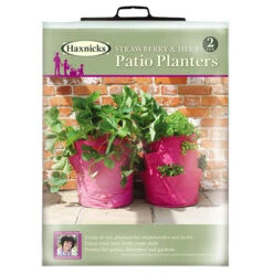 Strawberry And Herb Patio Planter Twin Pack 10 Strawberry And Herb Patio Planter Twin Pack -Garden Plants Sales 130497 4