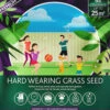 Multi-Purpose & Hardwearing Grass Seed Mix - Back Lawn, 1kg 1 Multi-Purpose & Hardwearing Grass Seed Mix - Back Lawn, 1kg -Garden Plants Sales 140101