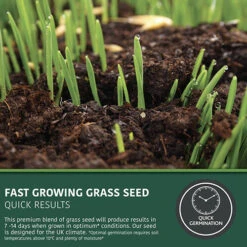 Multi-Purpose & Hardwearing Grass Seed Mix - Back Lawn, 1kg -Garden Plants Sales 140101 1