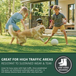 Multi-Purpose & Hardwearing Grass Seed Mix - Back Lawn, 1kg -Garden Plants Sales 140101 2