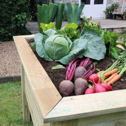 Deep Root Planter 1m -Garden Plants Sales 160004 1