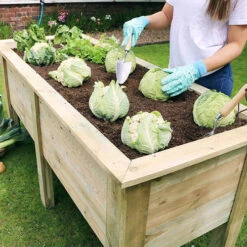 Deep Root Planter 1.8M -Garden Plants Sales 160005 1