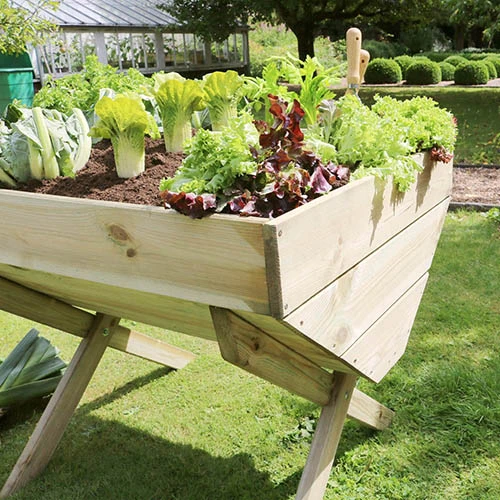 Vegetable Grow Bed-1m 4 Vegetable Grow Bed-1m - Image 2