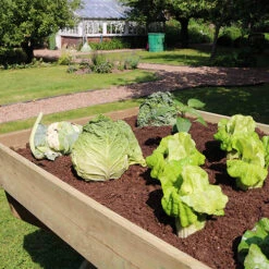 Vegetable Grow Bed-2m -Garden Plants Sales 160007 1