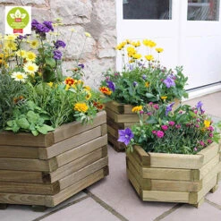 Marford Hexagonal Planter Set -Garden Plants Sales 160098 2