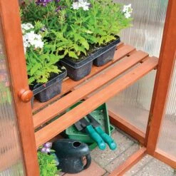 Hardwood Mini Greenhouse 10 Hardwood Mini Greenhouse -Garden Plants Sales 160265 3