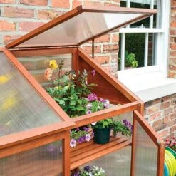 Hardwood Mini Greenhouse 11 Hardwood Mini Greenhouse -Garden Plants Sales 160265 4