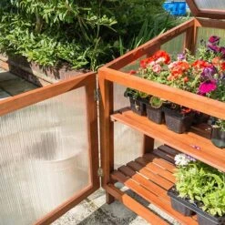 Hardwood Coldframe -Garden Plants Sales 160479 3