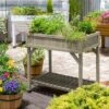 Herb Garden - Grey Wash -Garden Plants Sales 160645