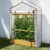 Tomato Greenhouse & PE Cover - Natural -Garden Plants Sales 160648