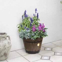 Build Your Own Barrel Kit ? Dark Brown -Garden Plants Sales 160659 1