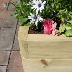 Marberry Patio Planter -Garden Plants Sales 160741 2