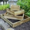 Diamond Raised Bed 2 Diamond Raised Bed -Garden Plants Sales 160965