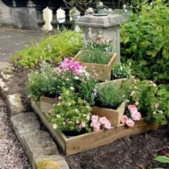 Diamond Raised Bed -Garden Plants Sales 160965 2