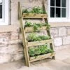 Ladder Planter 1 Ladder Planter -Garden Plants Sales 160981