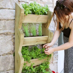 Tall Vertical Herb Stand 5 Tall Vertical Herb Stand -Garden Plants Sales 160983 1