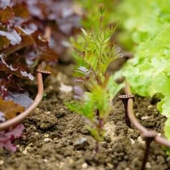 Flopro Beds & Borders Watering Kit 8 Flopro Beds & Borders Watering Kit -Garden Plants Sales 161002 1