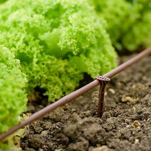 Flopro Beds & Borders Watering Kit 6 Flopro Beds & Borders Watering Kit - Image 4