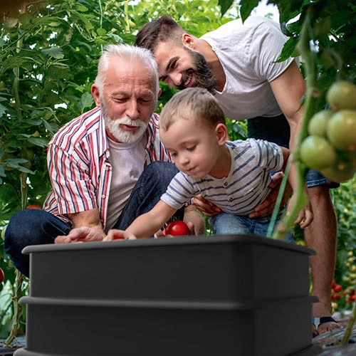 Tiger Wormery-3 Tray 5 Tiger Wormery-3 Tray - Image 3