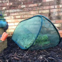 Pop Up Mini Grow Tunnel Cloche -Garden Plants Sales 161376 1
