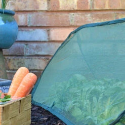 Pop Up Mini Grow Tunnel Cloche -Garden Plants Sales 161376 2