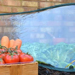 Pop Up Poly Cloche -Garden Plants Sales 161385 2