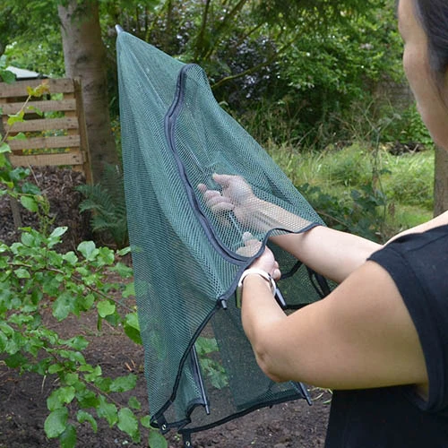 Square Plant Umbrella For Raised Beds 5 Square Plant Umbrella For Raised Beds - Image 3