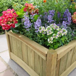 Chelsea Square Planter -Garden Plants Sales 161420 2