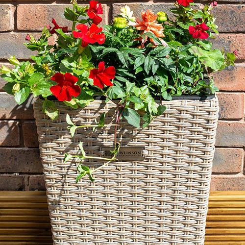 Square Rattan Planter In Natural Weave-Pack Of 2 4 Square Rattan Planter In Natural Weave-Pack Of 2 - Image 2