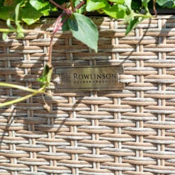 Tall Rattan Planter In Natural Weave -Garden Plants Sales 161445 1