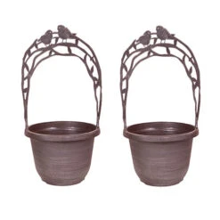 Narcissus 'T?te-?-T?te' Collection With Planters And Compost -Garden Plants Sales 201203 3